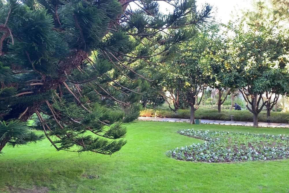 Cornelia Diamond Golf Resort & Spa (2)