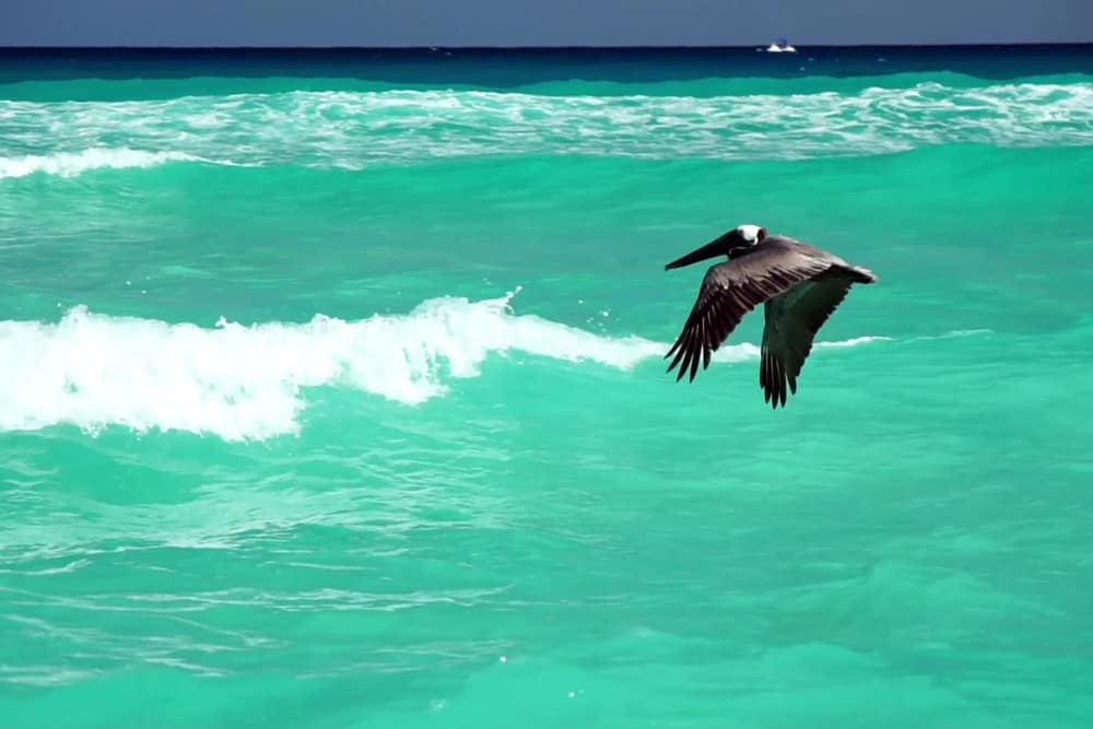 Crown Paradise Club Cancun (2)