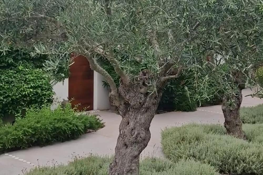 Hotel Cala di Greco (2)