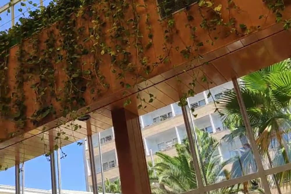 Playacapricho Hotel (2)
