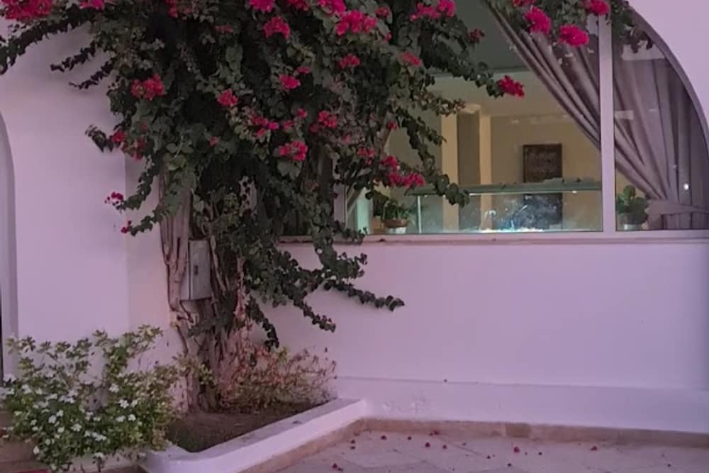 Seabel Aladin Djerba