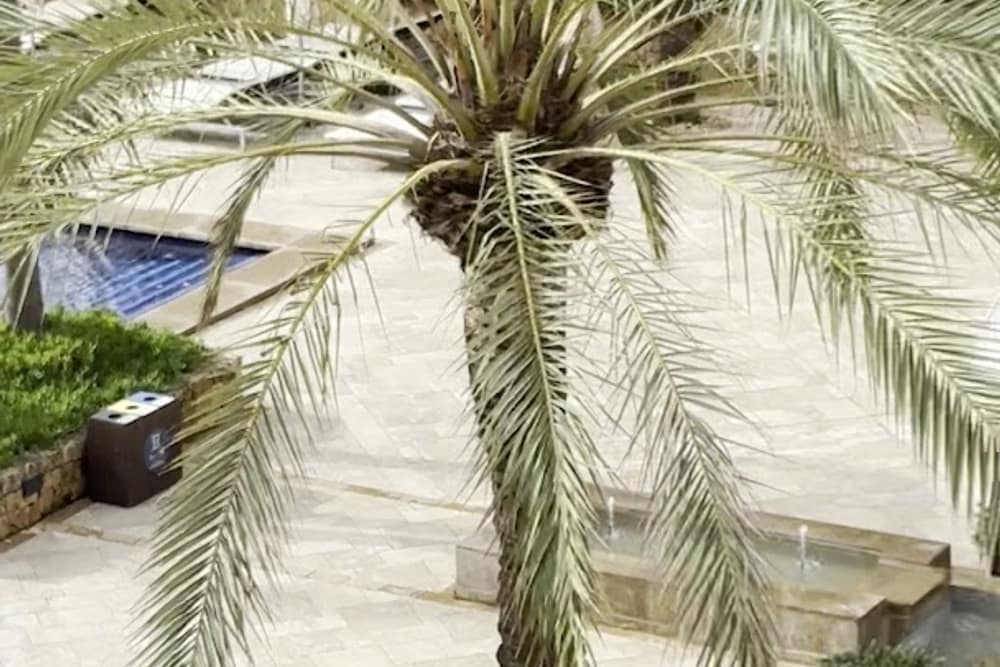 Insotel Fenicia Prestige Suites & Spa (2)