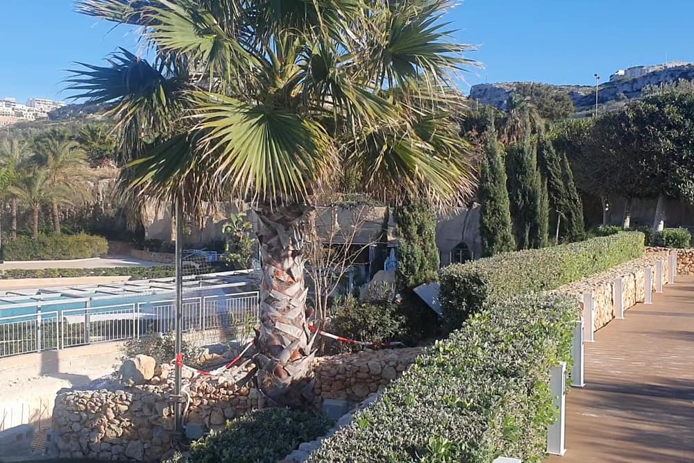 db Seabank Resort + Spa (2)