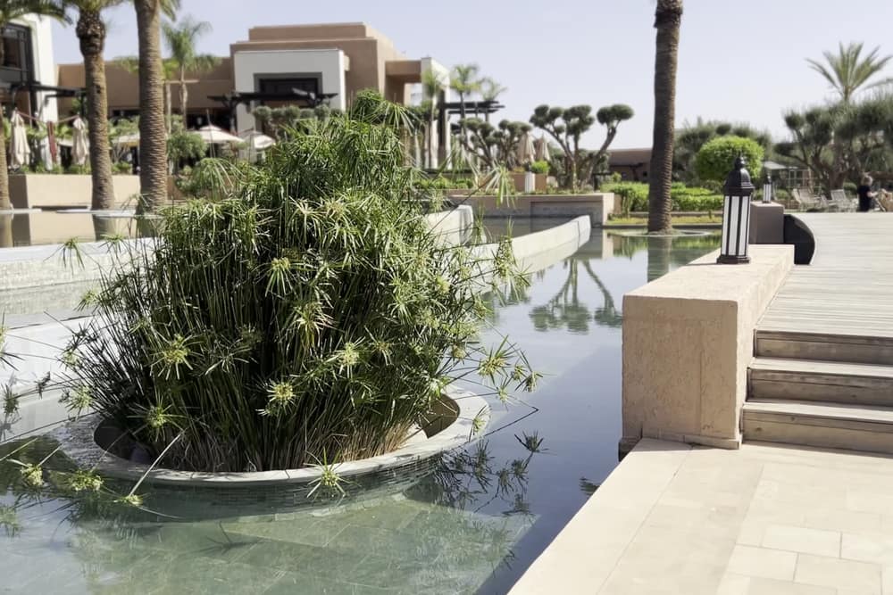 Fairmont Royal Palm Marrakech (2)