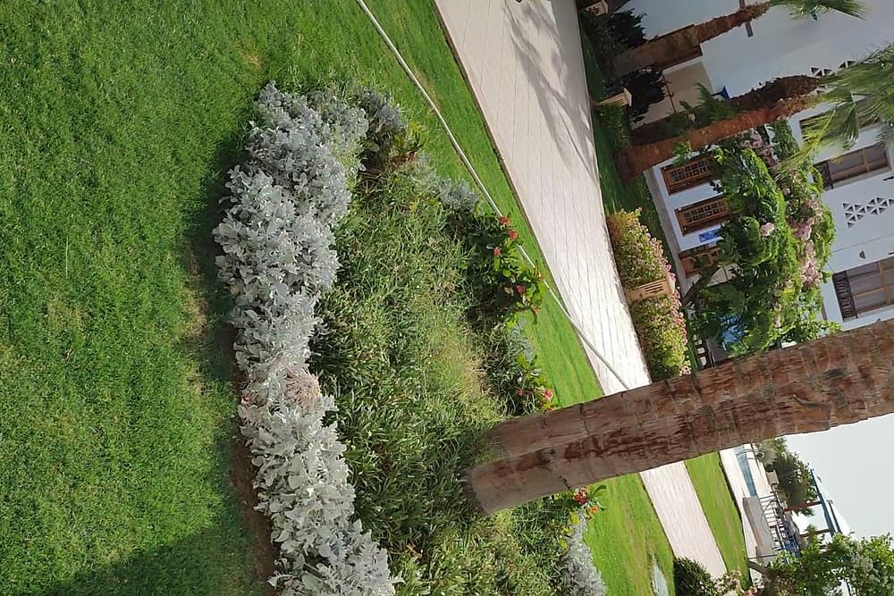 Lahami Bay Beach Resort and Gardens (2)