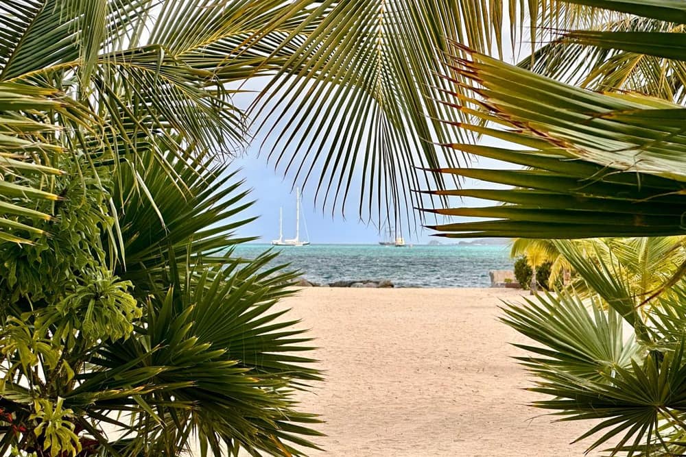 Nettle Bay Beach Club