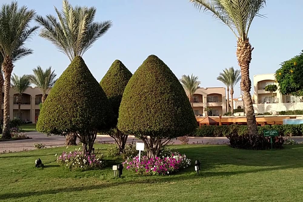 Cleopatra Luxury Resort Sharm El Sheikh (2)