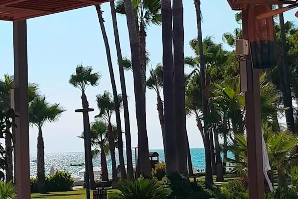 Acanthus & Cennet Barut Collection (2)