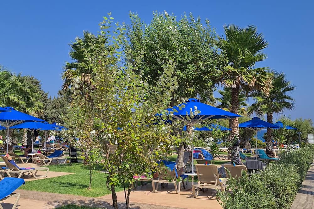 Esperides Beach Resort (2)