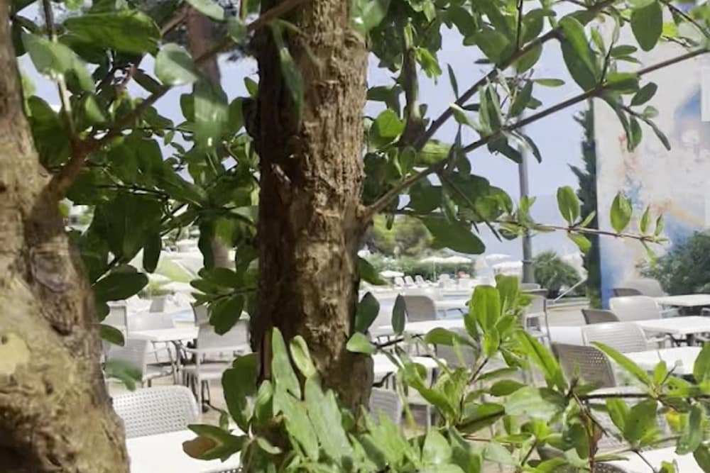 Inturotel Esmeralda Park (2)